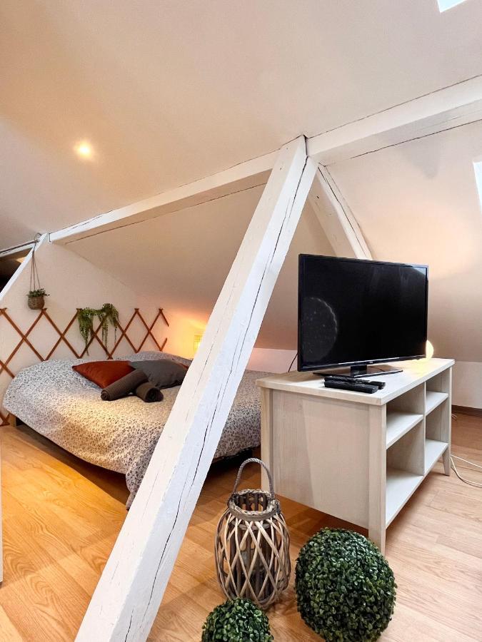 Le Petit Loft, Mulhouse Centre Apartment Exterior photo